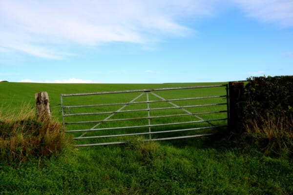 Creation of access to field was not permitted development